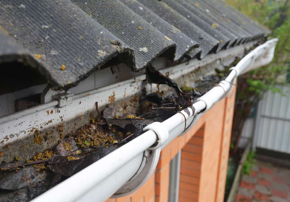 Blockages in the Gutters? Here’s What You Should do to Avoid Issues